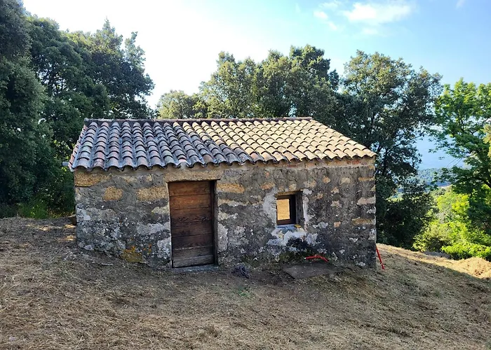 ファームステイ L Anghjuledda 2